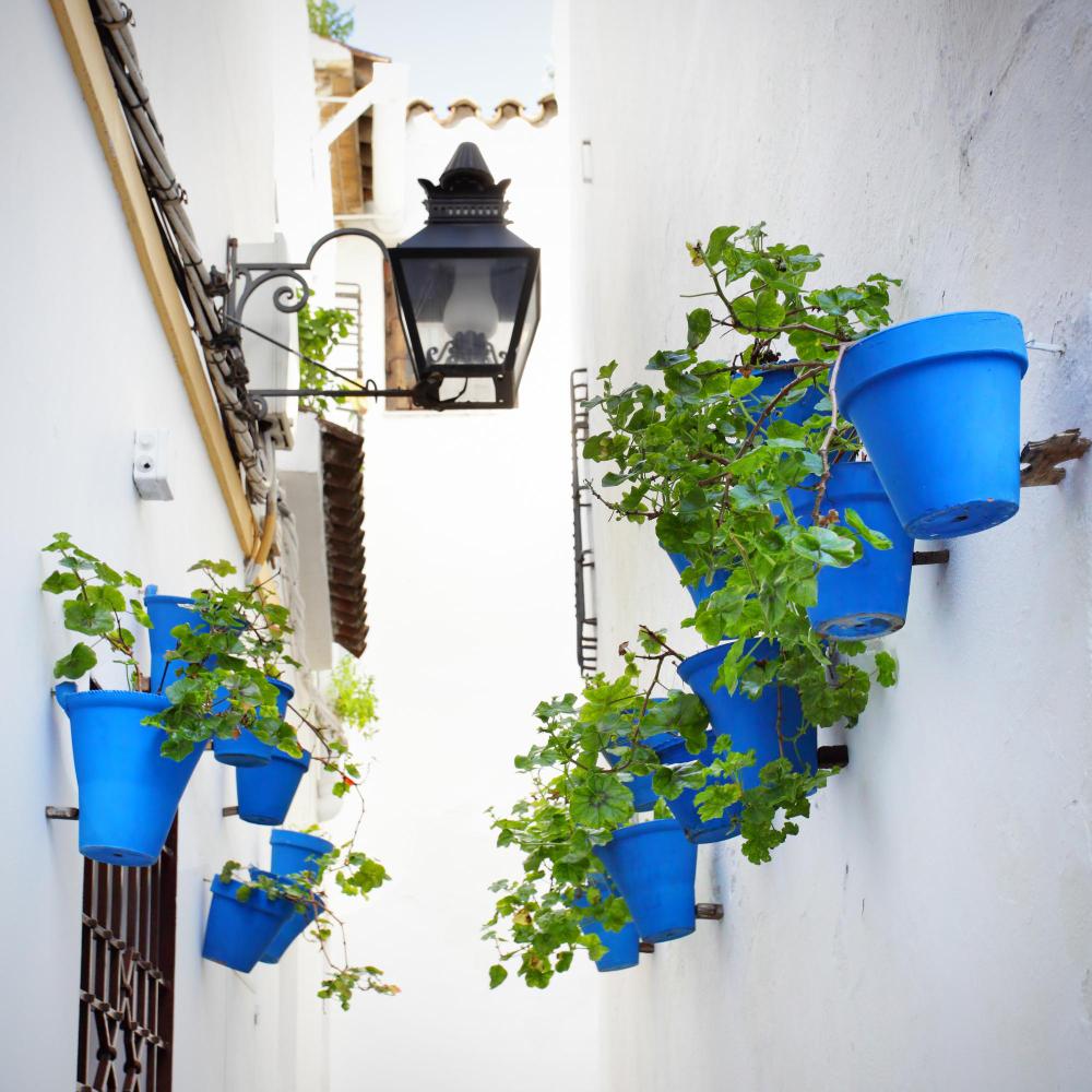 Córdoba florece: todo lo que tienes que saber sobre los Patios 2026