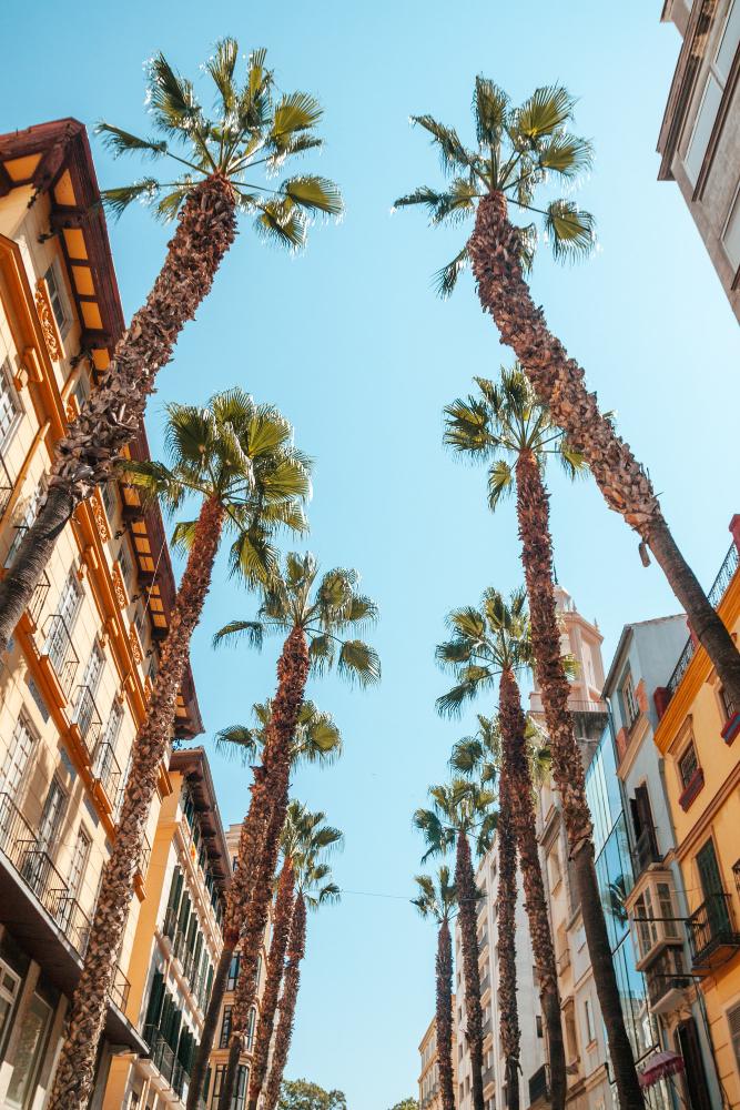 Feria de Málaga 2026: así será la gran cita del verano andaluz 