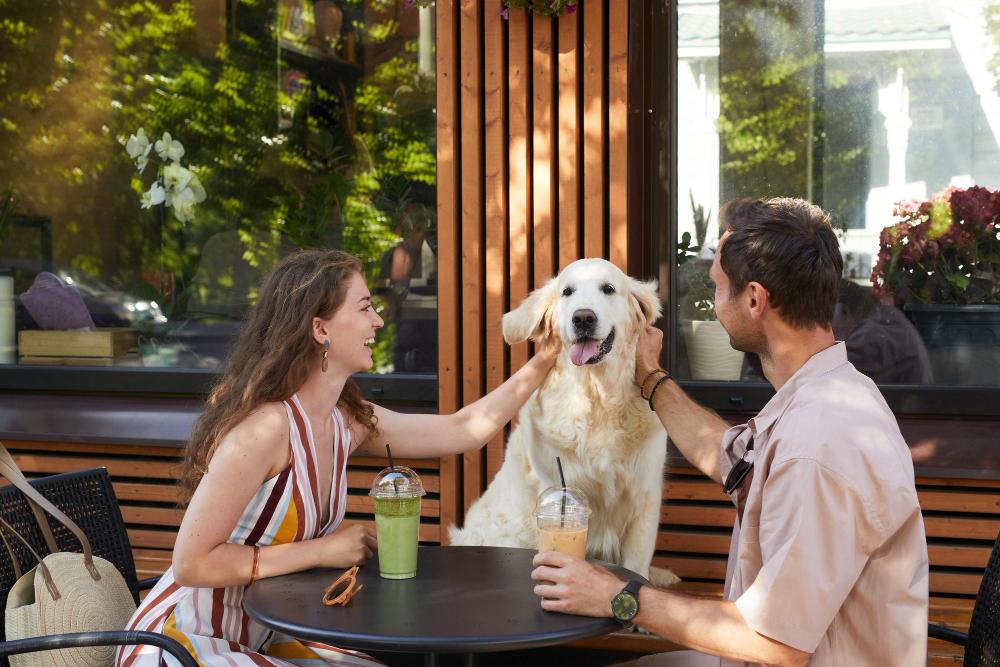 Los mejores restaurantes y cafeterías pet-friendly en Madrid